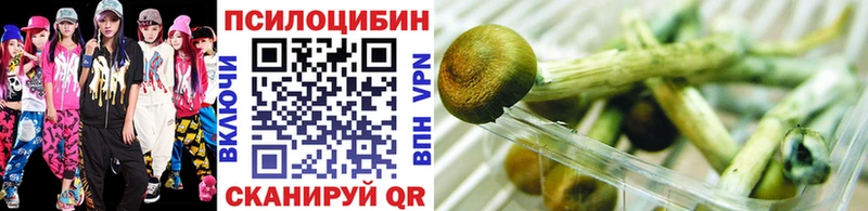 Псилоцибиновые грибы мухоморы  где найти наркотики  Заринск 