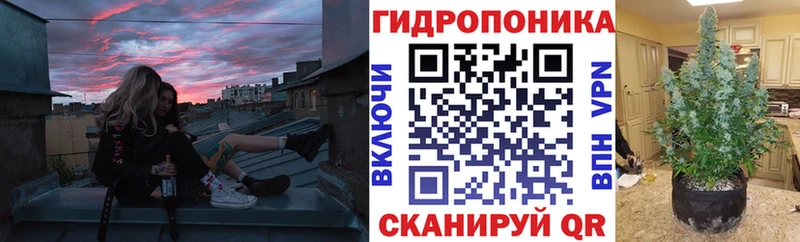 блэк спрут tor  Заринск  Марихуана тримм  купить закладку 